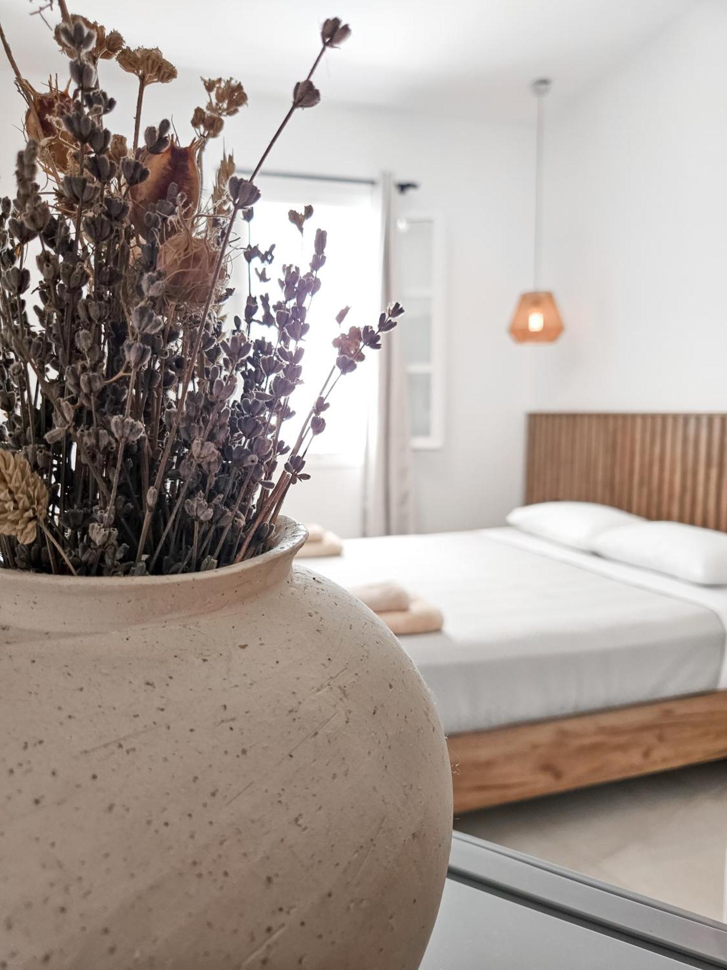 Oikia Suites Mykonos Mykonos Town Esterno foto